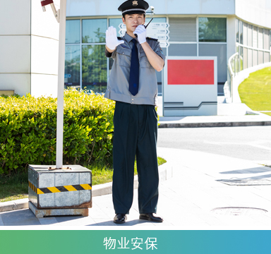 GC618 Business Edition Professional Public Network Interphone